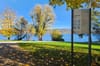 Um sofortige Massnahmen zur Altlastensicherung umzusetzen, schliesst die Gemeinde Thalwil die Seeanlage Farb ab dem 7.…