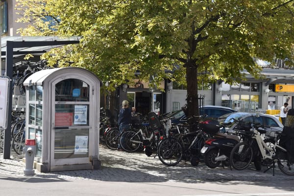 Die ehemalige Telefonkabine im Zentrum Thalwils beherbergt seit zehn Jahren Bücher.
