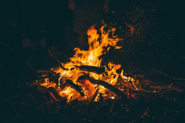 Feuer dürfen nun auch wieder im Wald gemacht werden.