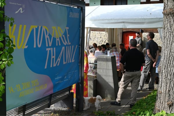 Plakat der Kulturtage Thalwil