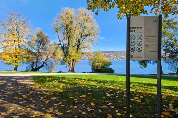 Um sofortige Massnahmen zur Altlastensicherung umzusetzen, schliesst die Gemeinde Thalwil die Seeanlage Farb ab dem 7.…
