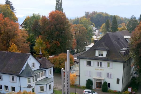 Das einstige Pflegeheimareal im Nidelbad soll in den nächsten Jahren neugestaltet werden. Unter anderem mit Dutzenden neuer…