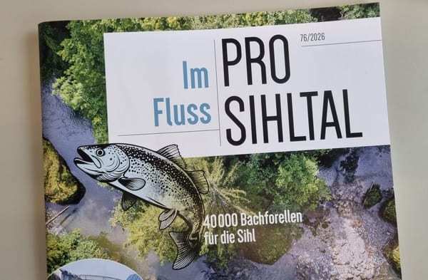Im neusten Jahrheft lässt sich die Sihl als Lebensader neu entdecken.