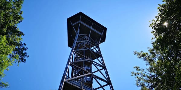 Der in die Jahre gekommene Hochwacht-Turm auf dem Albisgrat.