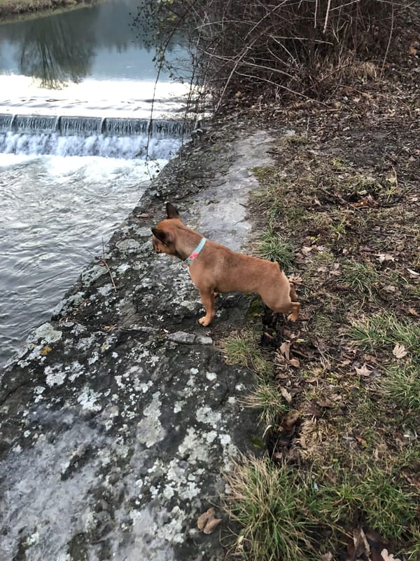 Leilani bewegt sich frei, bleibt aber verbunden.
