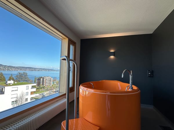 Blick aus einem der modernisierten Gebärzimmer des See-Spitals in Horgen.