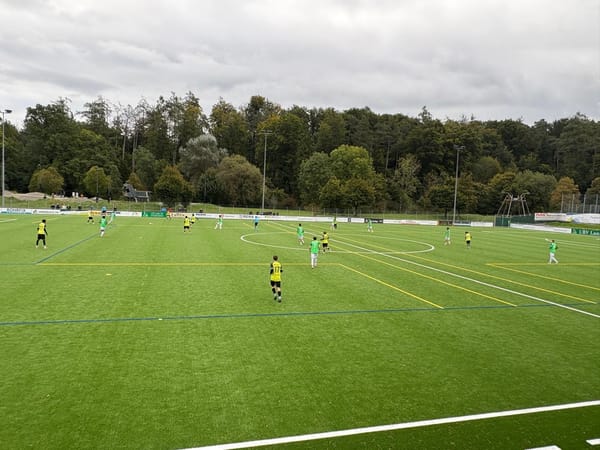 Der Kunstrasen auf der Sportanlage Brand in Thalwil ist seit letztem September in Betrieb und hat sich bewährt. Jetzt wird…