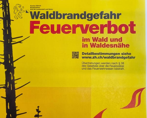 Die Trockenheit hat die Gefahr von Waldbränden stark erhöht.